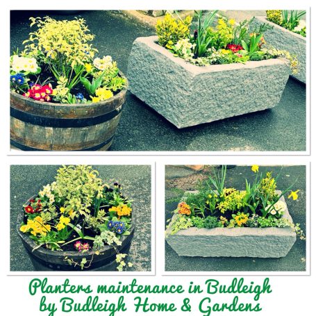 Maintained planters